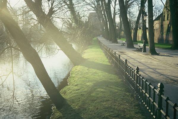 Bare trees by the canal, iron fence and sunny walkway in morning light