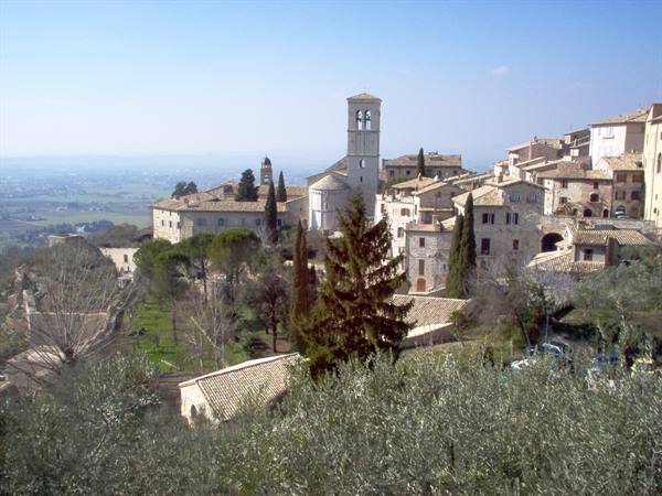 Stone houses and bell tower of Assisi among olive trees