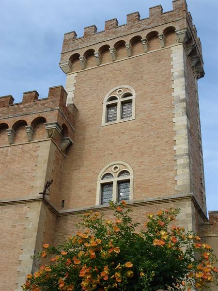 Bolgheri