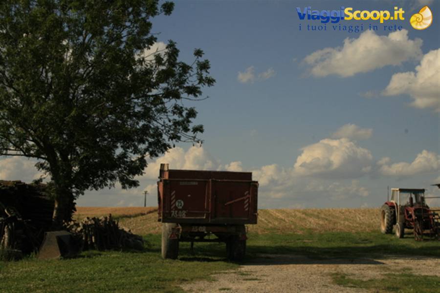 the Champagne countryside