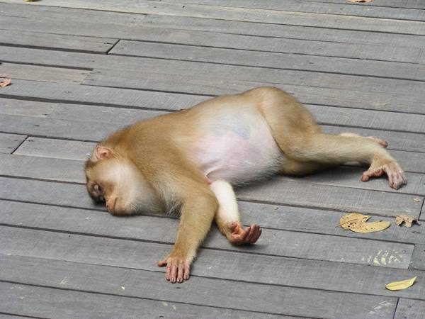 What a good sleep!!
