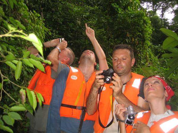in the jungle...spotting the orangutans