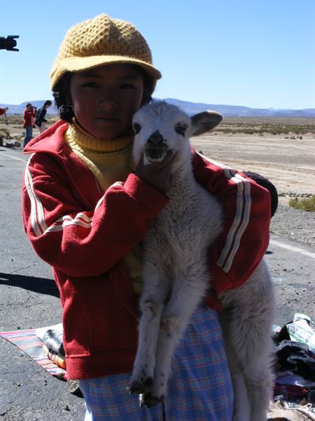 Girl and llama