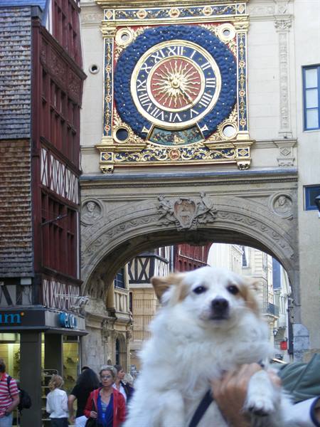 UGO BEDDU IN ROUEN