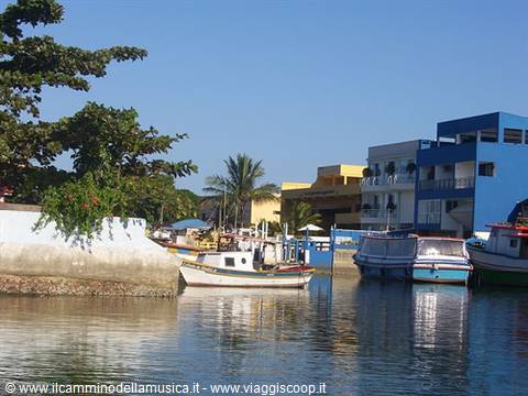 Fishing boats moored in the canal, colorful buildings and palm trees under sun