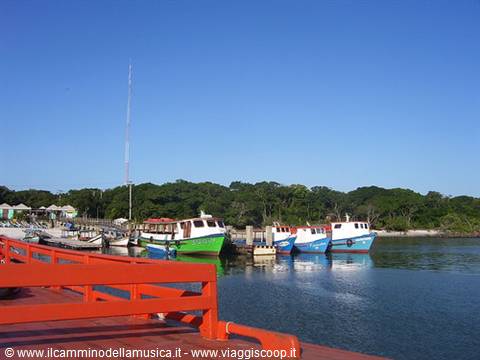 Colorful boats moored at the harbor in front of green trees and blue sky