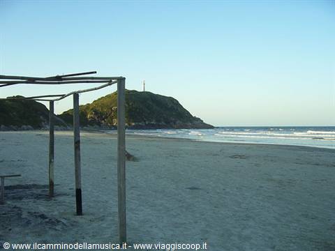 Sandy beach with wooden log shelter in front of a green headland