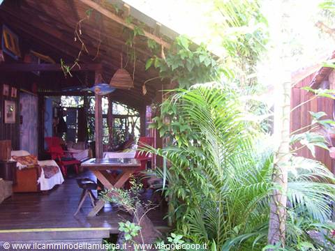 Wooden veranda with table and armchairs among palm trees and green plants
