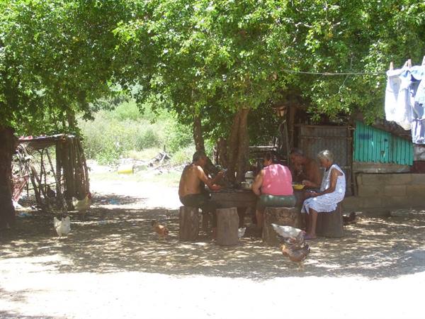 People sitting at a table in tree shade with chickens around