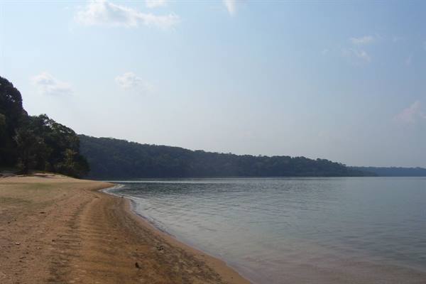 Golden sand and calm water under clear sky, forested coast beyond