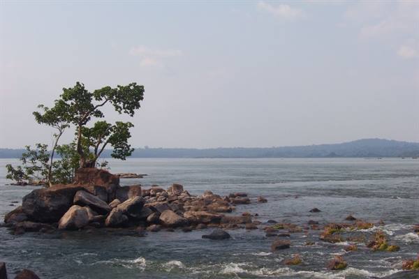 Tree on granite rocks in the river, choppy water and distant hills