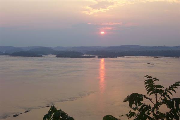 Low sun reflecting on a wide river, wooded islands and foreground leaves