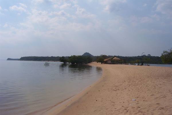 Golden sand beach with thatched huts among trees along the shore