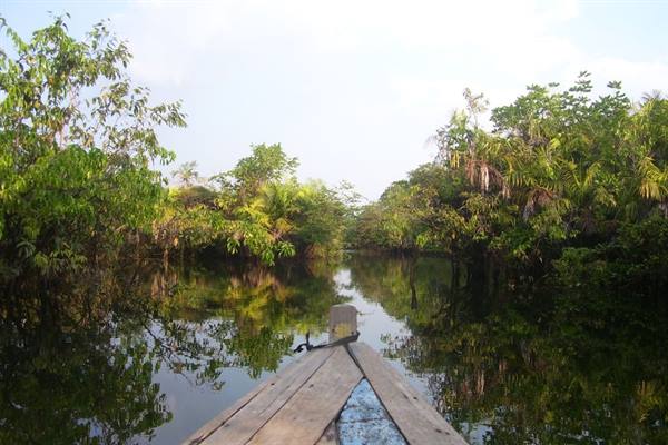 Wooden boat bow gliding through flooded forest channel, trees reflected on calm water