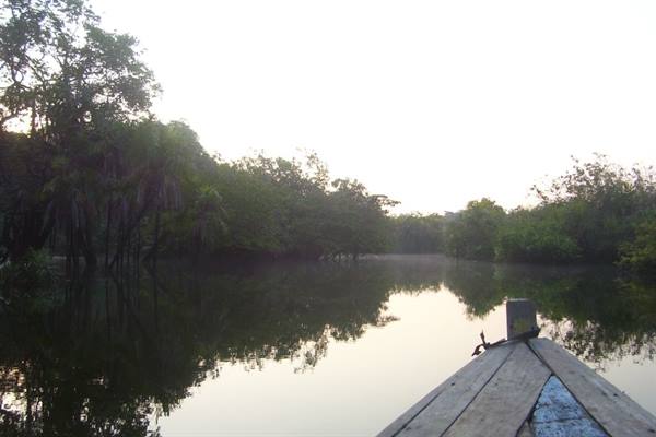 Wooden boat bow glides on calm water among reflected trees