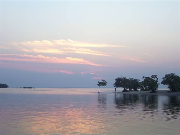 Pink dawn over calm water, trees and a person on sandy islet