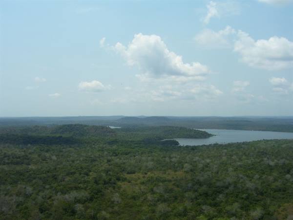 Lagoon surrounded by dense green forest under a cloudy sky