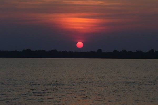 Red sun sinking behind trees, warm glow over dark water