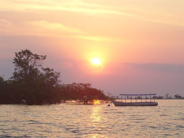 Low sun over calm water, covered boat resting beside flooded trees
