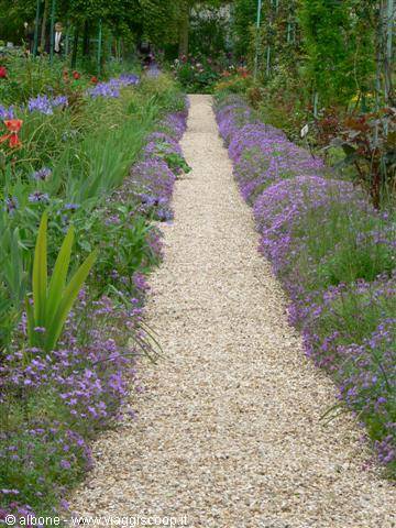 Gravel path lined with purple flowers in Monet's garden at Giverny
