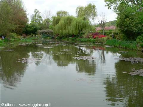 The water lily pond at Giverny, weeping willows and flowers reflected in the water