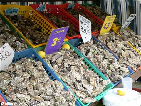 Colorful plastic crates filled with fresh oysters and price signs at market