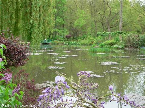 Giverny, Monet's garden: lily pond, blooming wisteria and green footbridge