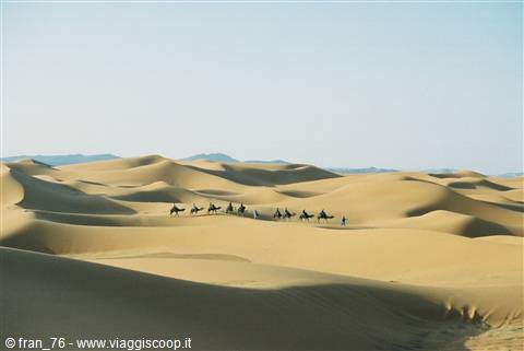camel caravan