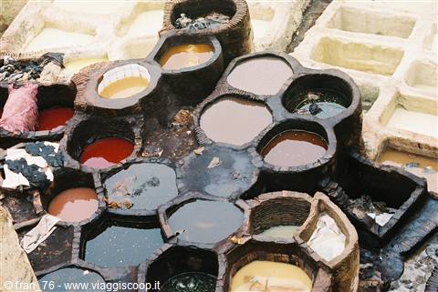 leather tanneries of fes