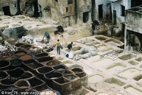 leather tanneries of fes