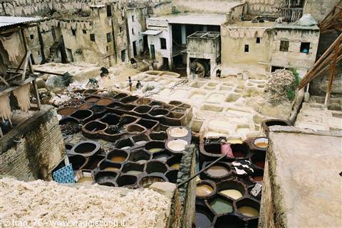 leather tanneries of fes