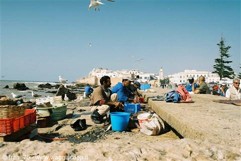 essaouira