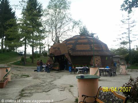 The turtle-shaped bar