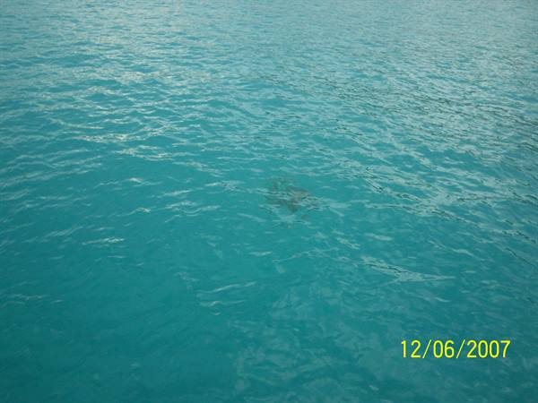 THE SPOT WHERE WE SWAM IN THE MIDDLE OF THE SEA