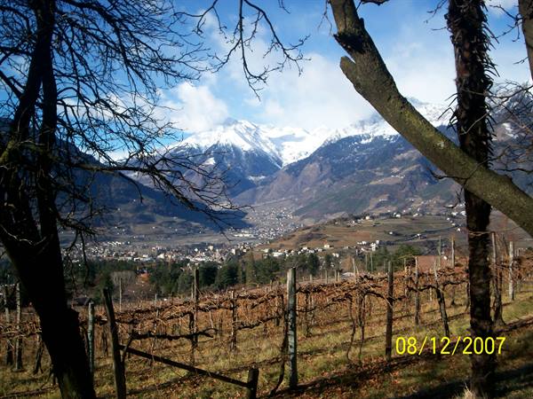 Merano from above
