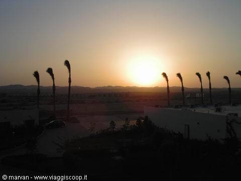Low sun between silhouetted palm trees over white buildings