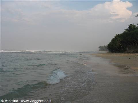 Waves washing the sandy shore, palm trees on the right, cloudy sky
