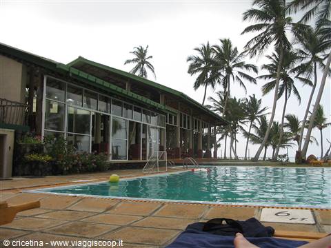 Blue pool in front of glass pavilion with tall palm trees, grey light