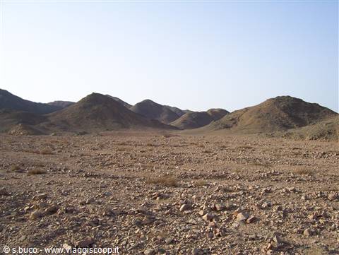 desert