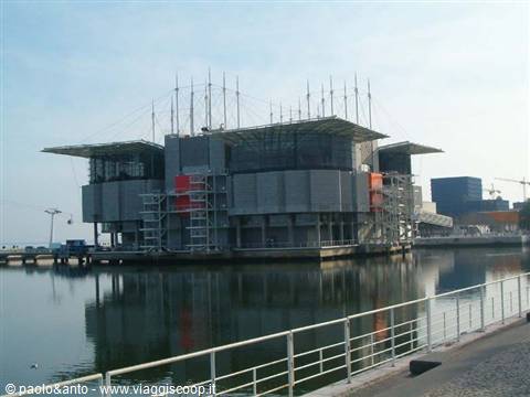 the aquarium