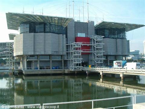 the aquarium