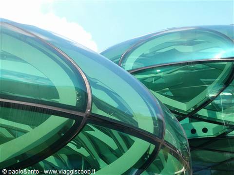 detail of the bubbles