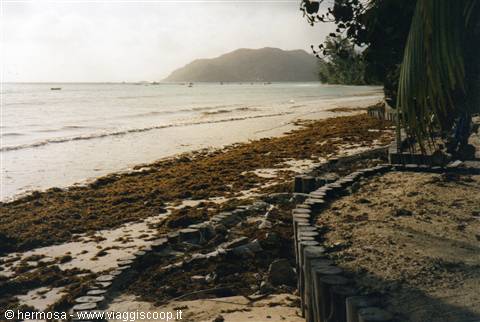 Seychelles Cote D'Or beach