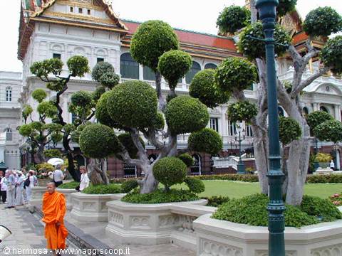 Orange-robed monk beside trimmed topiary trees at Bangkok's Grand Palace