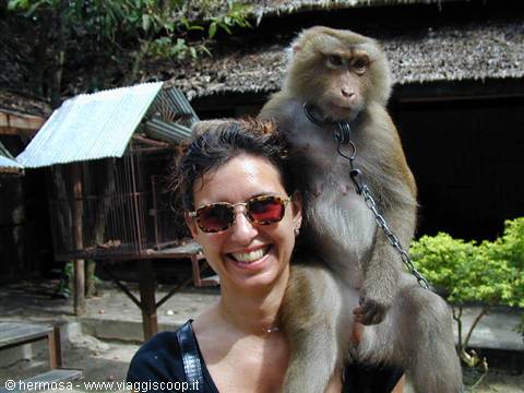 Smiling woman in sunglasses with chained monkey on her shoulder near huts