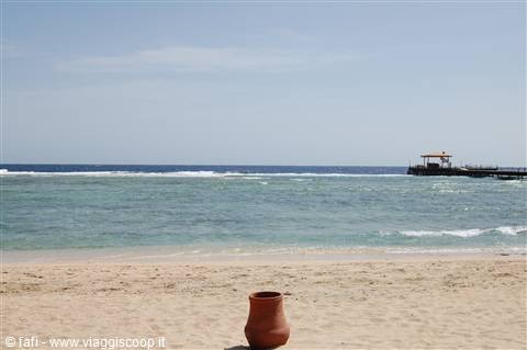 the beach the sea