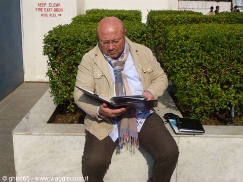 Bald man with scarf reading a guidebook on a marble ledge by green hedges