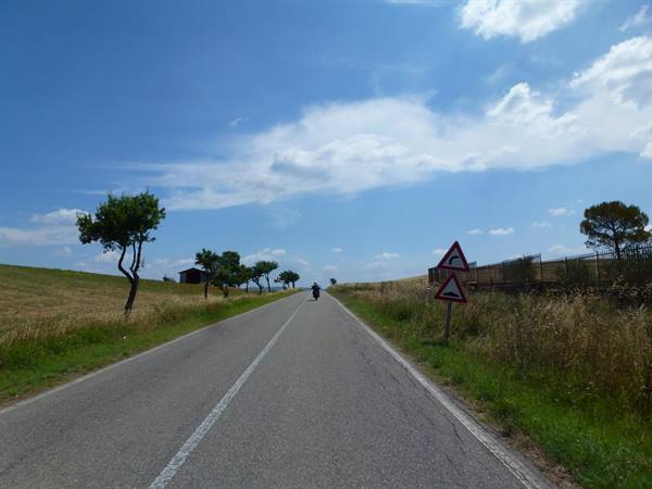 Paved road through cultivated hills, curve signs, distant motorcyclist, scattered trees