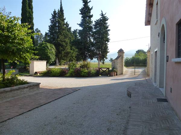 Gravel path between pink house and iron gate, tall cypresses in background