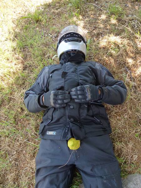 Motorcyclist lying on grass in helmet and black jacket, yellow flower on chest